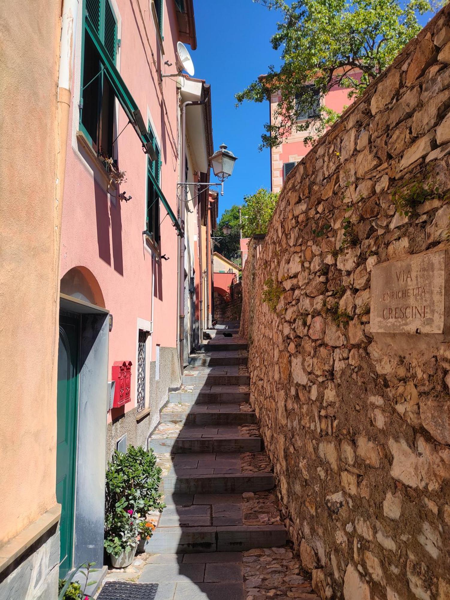 Camera Tra Le Cinque Terre, Camogli E Portofino. Vista Valle E Scorcio Mare All'Orizzonte Castiglione Chiavarese Exterior photo